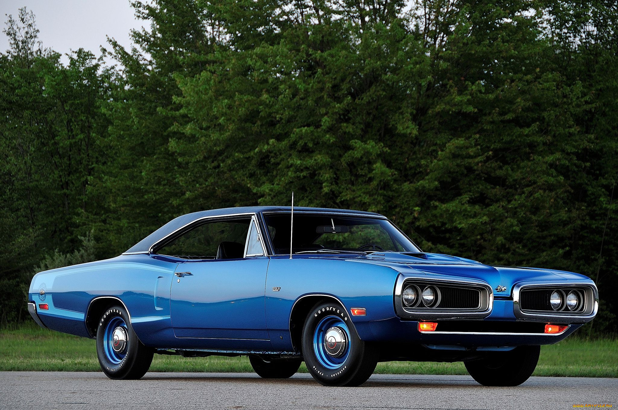 , dodge